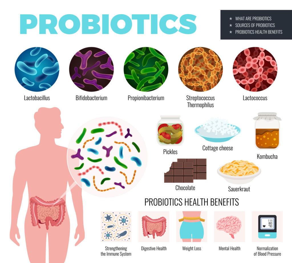 Probiotics Health Benefits Infographic